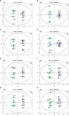 Temperature induces metabolic reprogramming in fish during bacterial infection